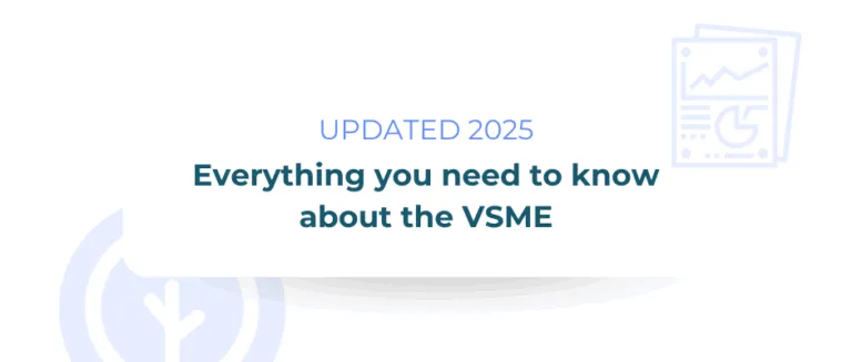 VSME 2025: Complete Guide