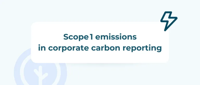 Scope 1 emissions in corporate carbon reporting