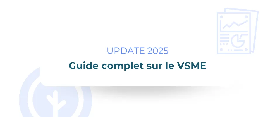 VSME 2025: Guide complet