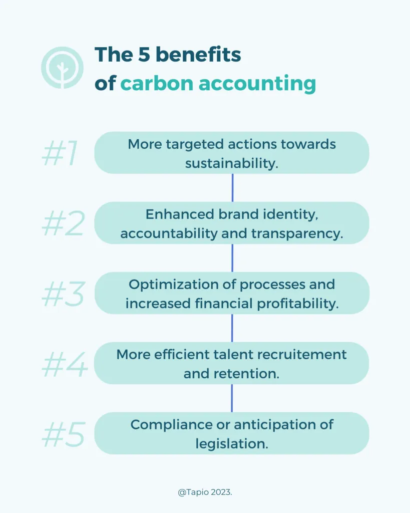 De 5 voordelen van carbon accounting