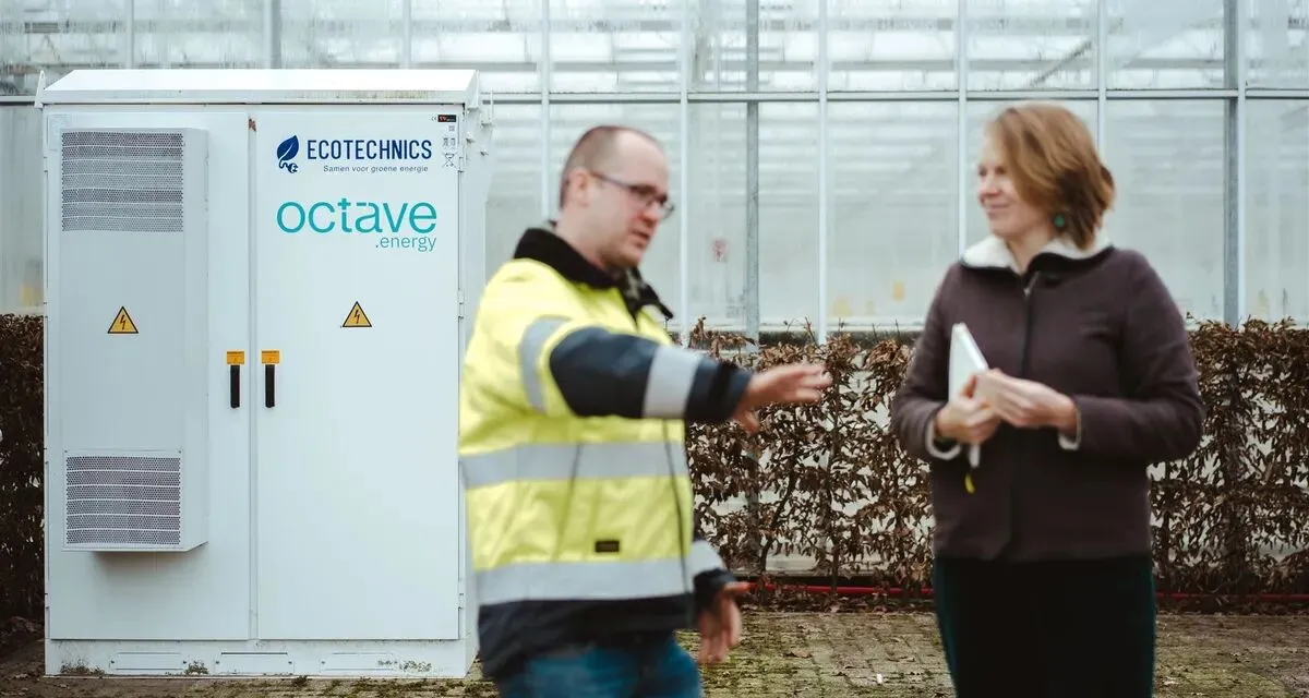 Batterie Octave installée par Eco Technics dans les serres de fraises de Jef Adriaensen à Hoogstraten