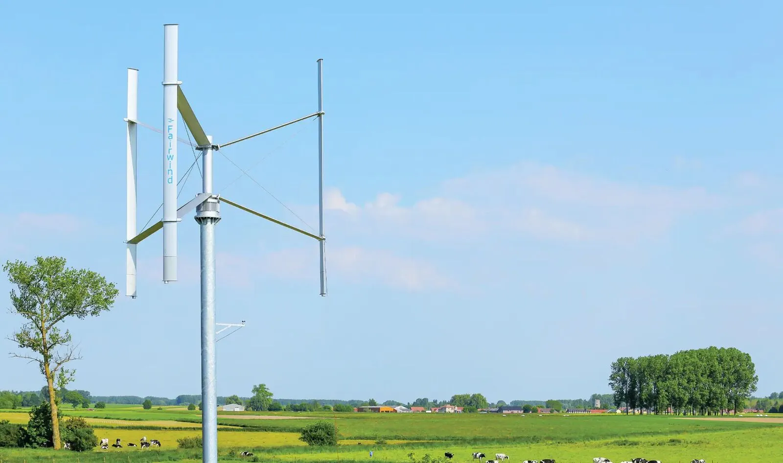 Éolienne à axe vertical Fairwind au milieu de prairies, avec des vaches au pâturage