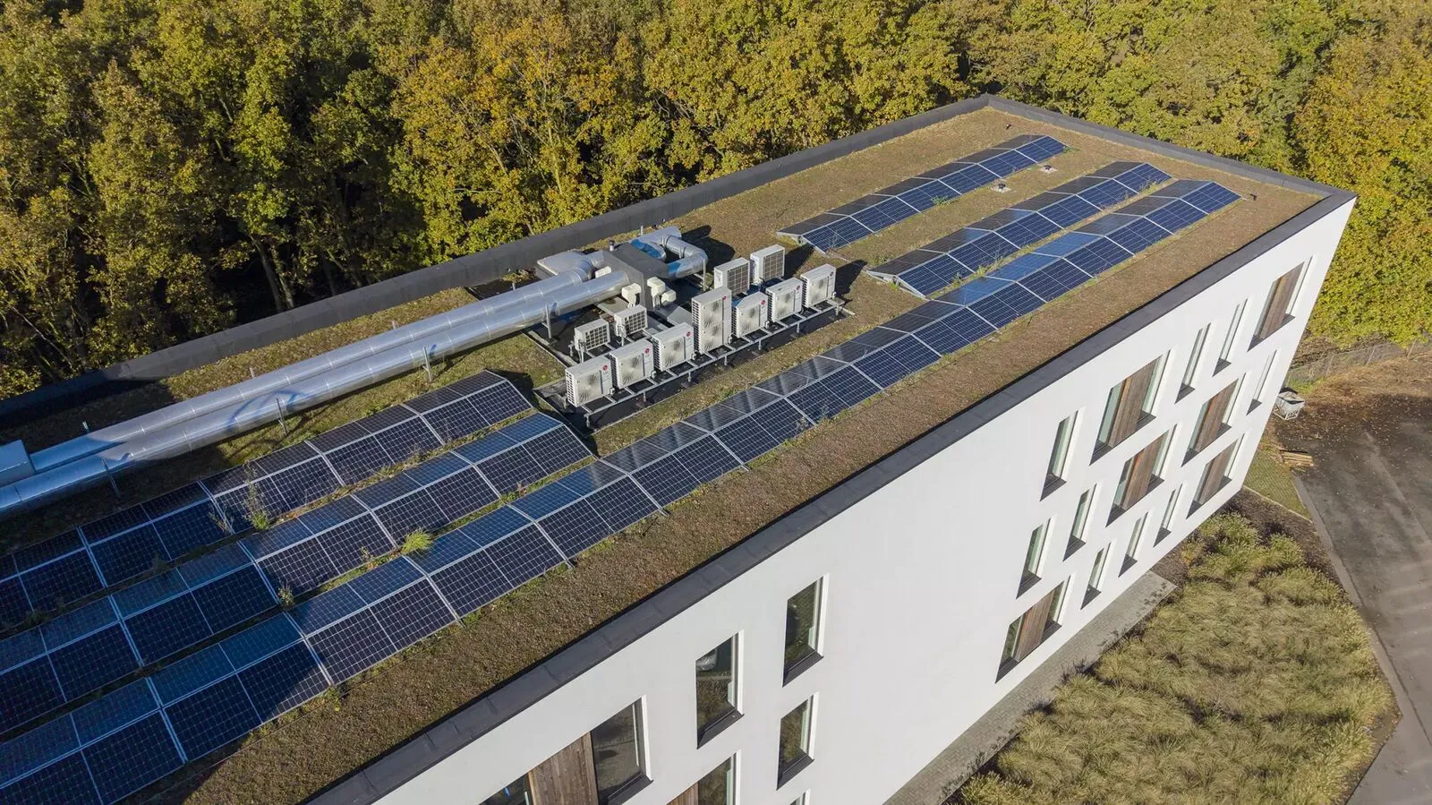 Zonnepanelen op het groendak van de hoofdzetel van Group Van Vooren in Zelzate