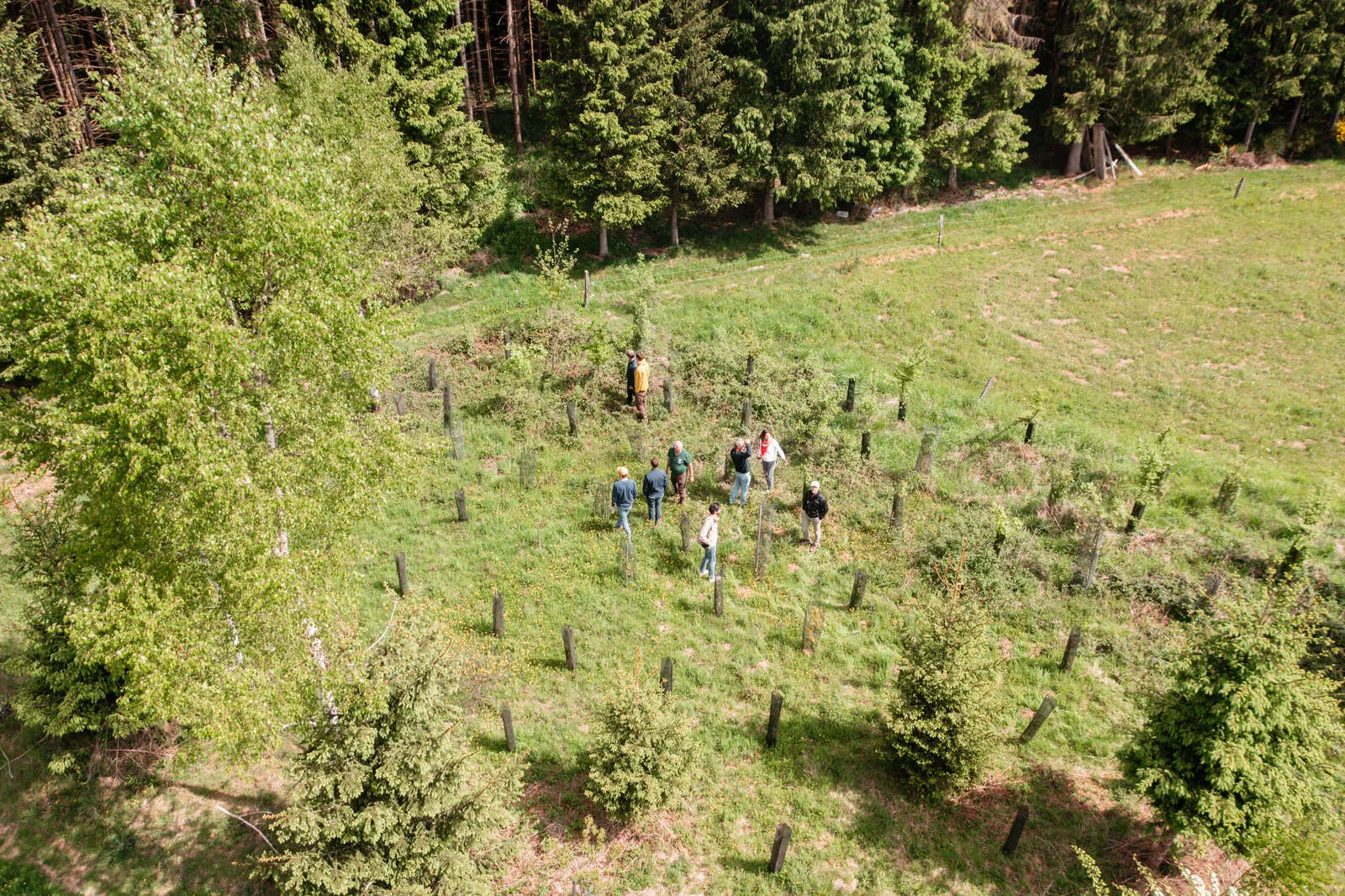 Een plantdag aan een bosrand, gezien vanuit een drone