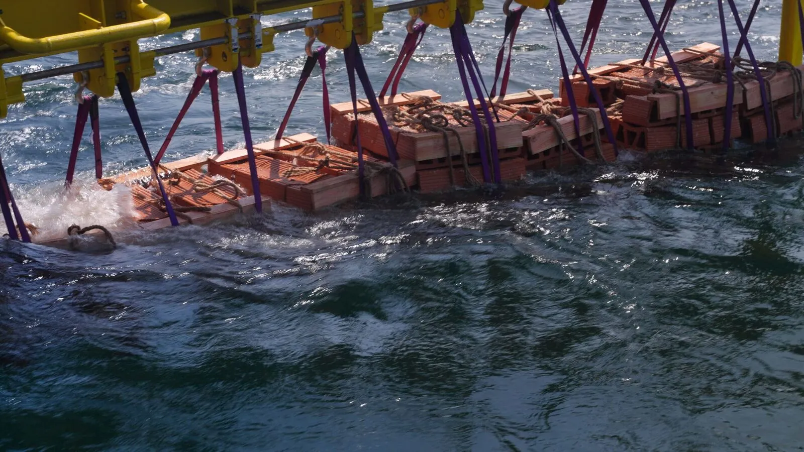 Oesterrifstructuren die in de Noordzee neergelaten worden