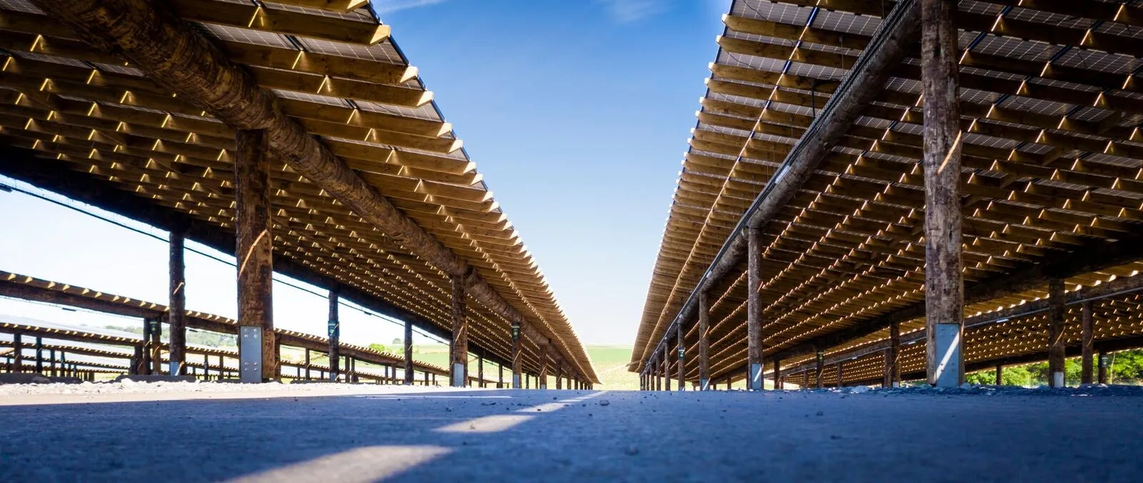 Ombrières solaires en bois sur le parking de Pairi Daiza