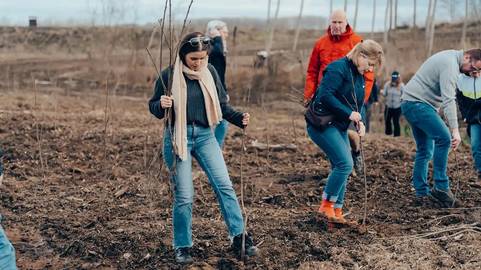 Een plantdag voor een bedrijf met Go Forest