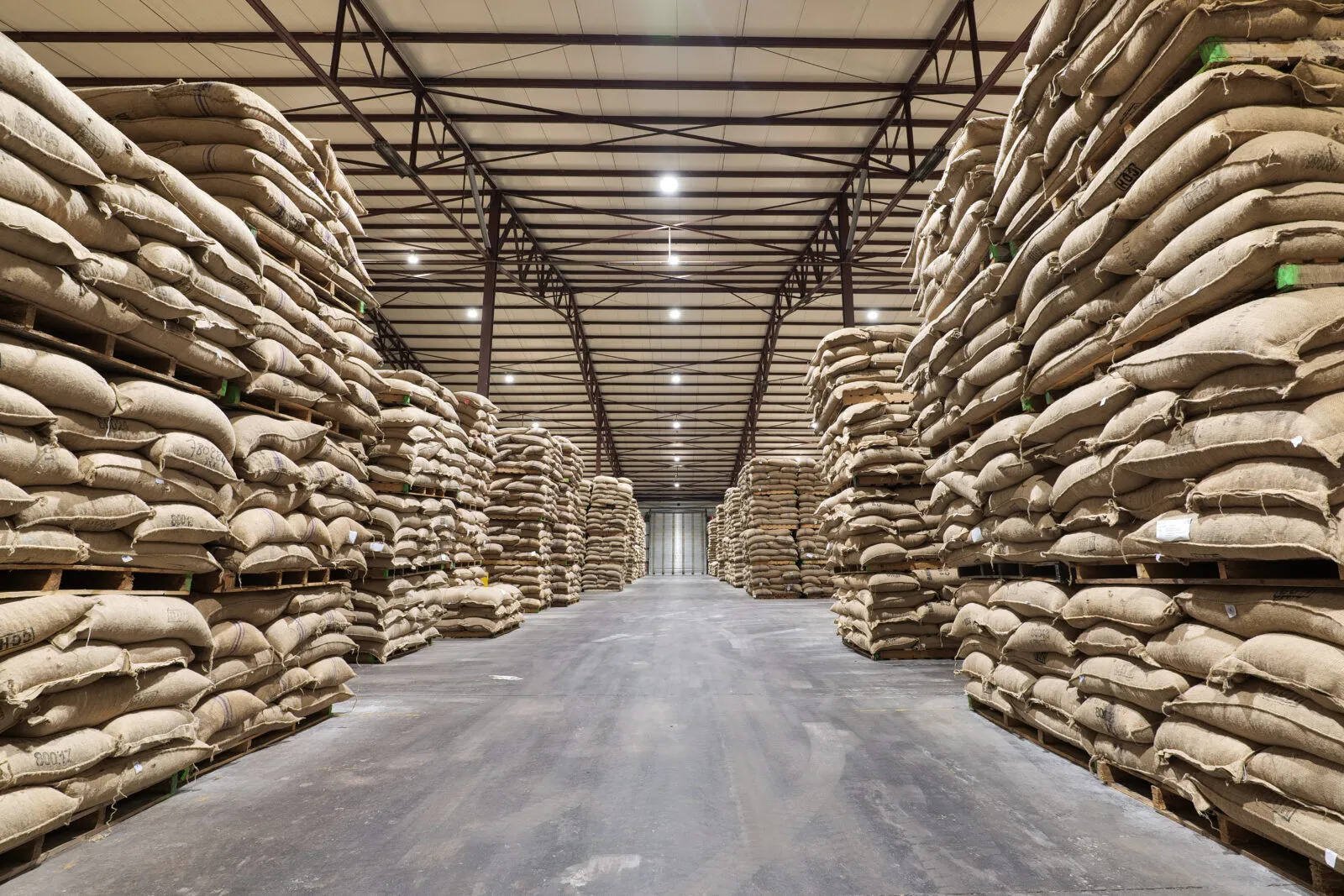 LED-klokken boven gestapelde zakken cacaobonen in het magazijn van Steinweg in de Antwerpse haven