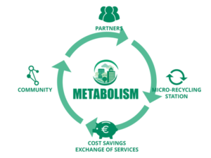 Metabolism