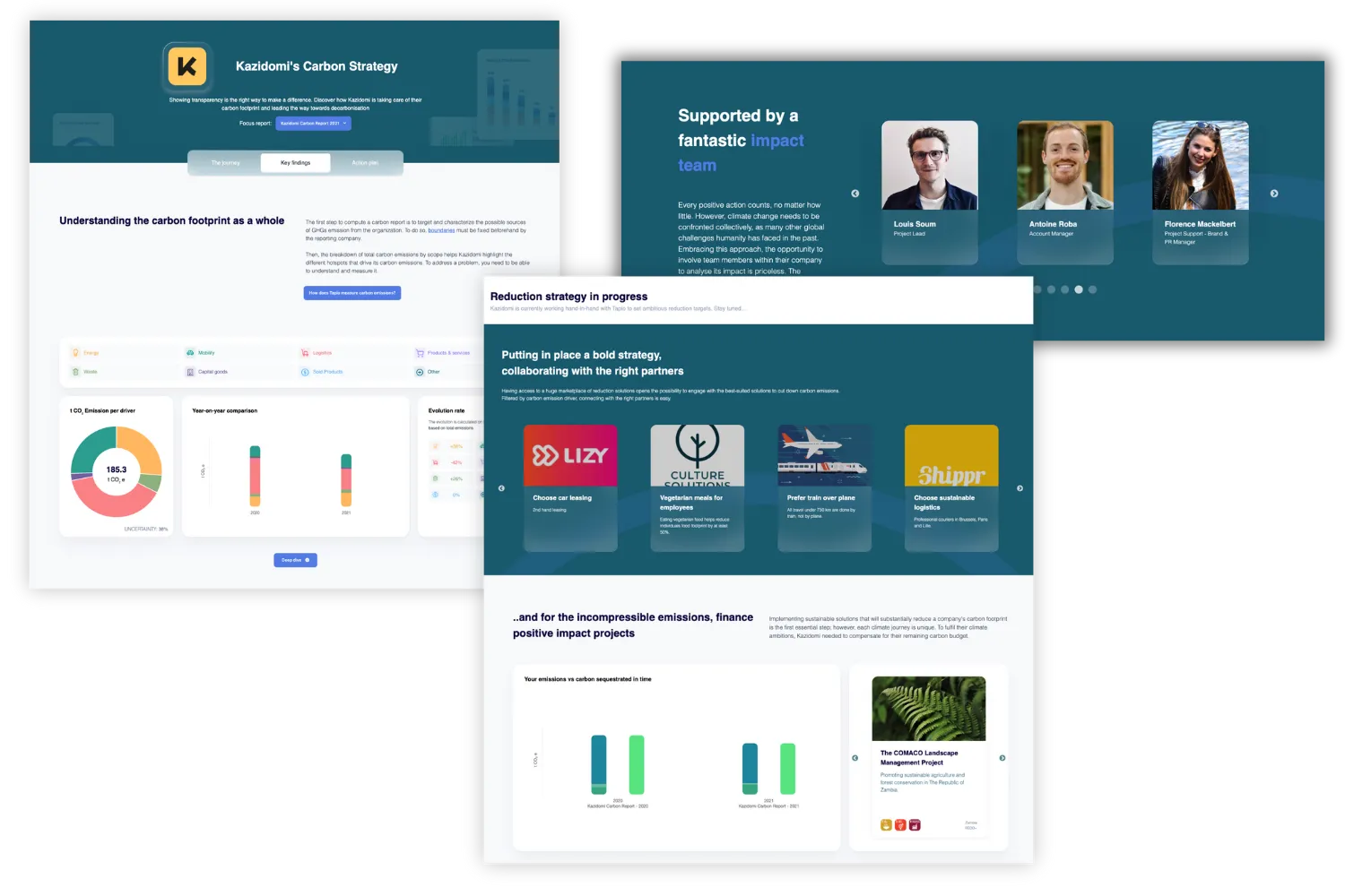 tapio carbon strategy page