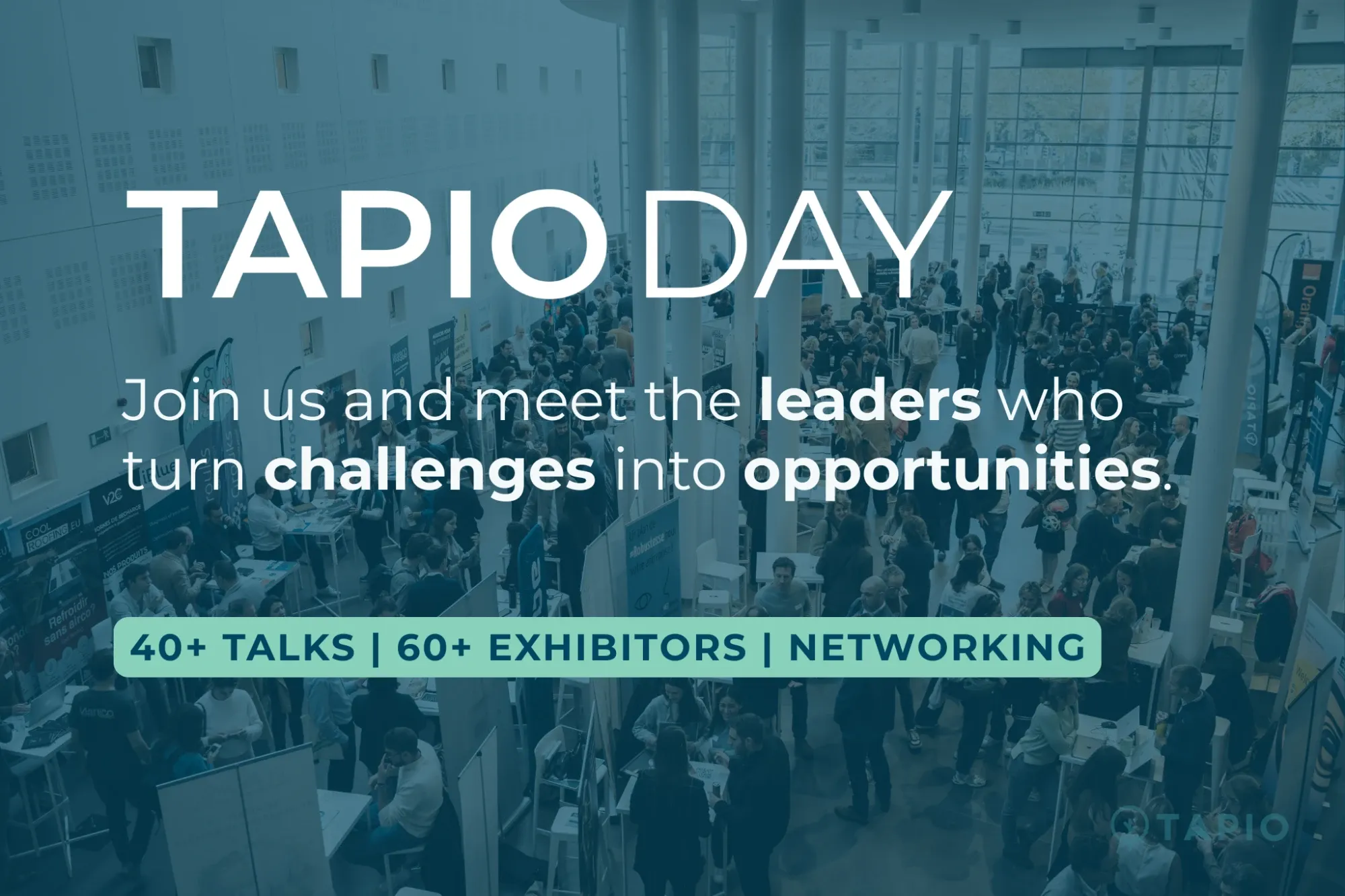 Tapio Day