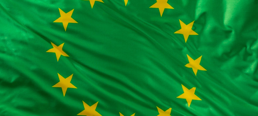 The European Green Deal Explained (in 5 Minutes)