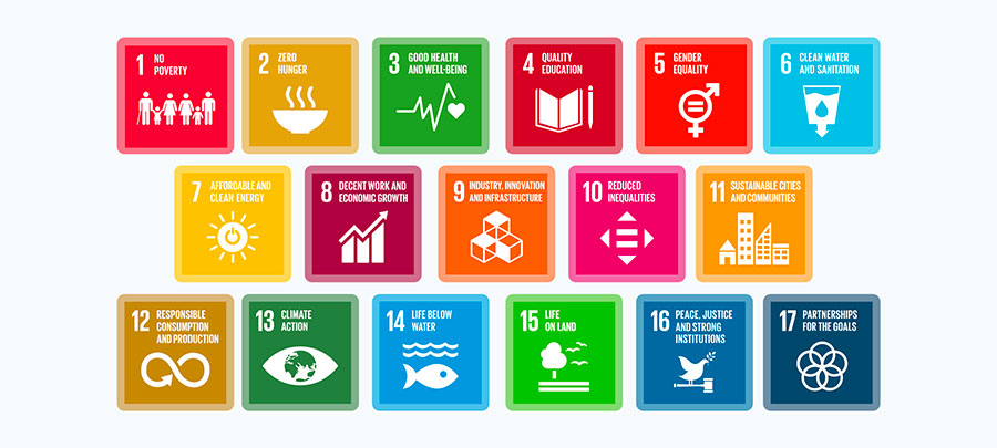 What are the Sustainable Development Goals?