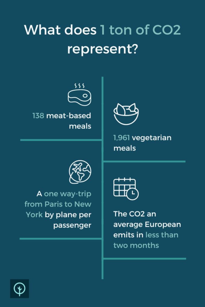 what 1 ton of co2 is equivalent to