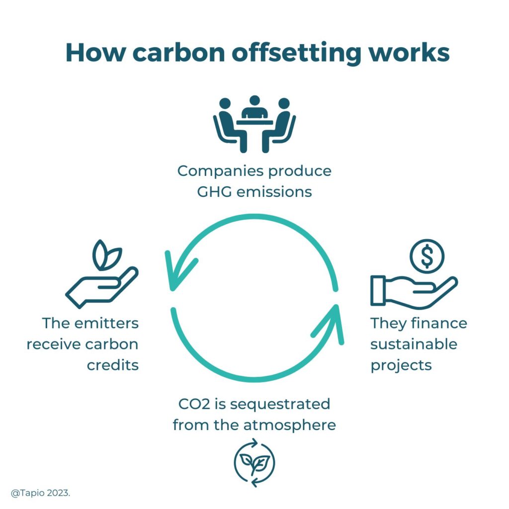 How carbon offsets work