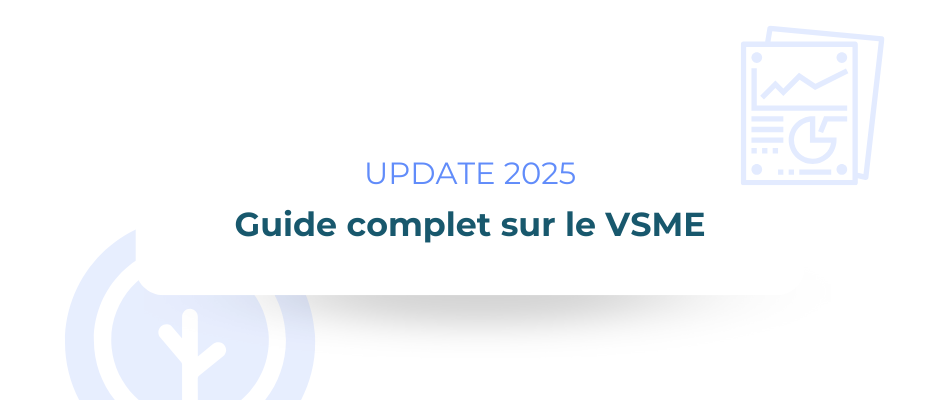 VSME 2025: Guide complet