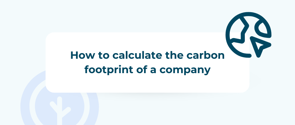 How to calculate the carbon footprint of a company