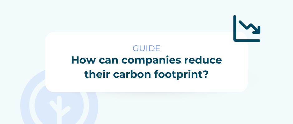 How can companies reduce their carbon footprint: a practical guide
